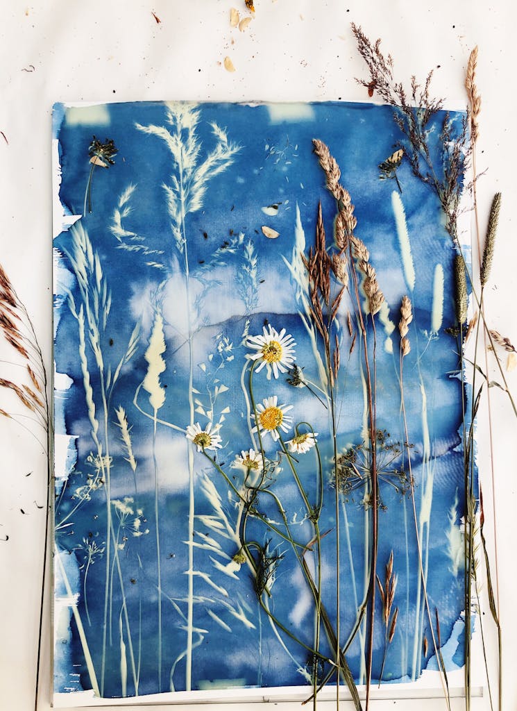 Impression cyanotype avec des fleurs séchées et des herbes sur une table blanche